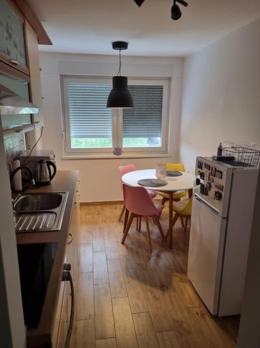 Studio Apartman Bojana 34M2,Free Wifi,Parking Sisak Luaran gambar