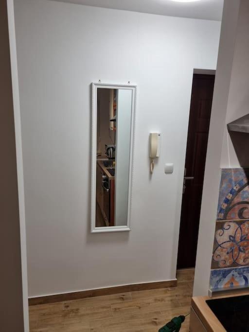 Studio Apartman Bojana 34M2,Free Wifi,Parking Sisak Luaran gambar