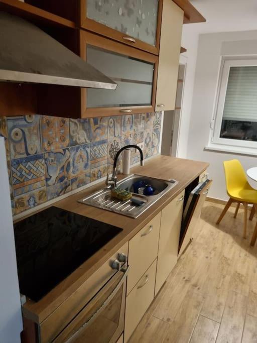 Studio Apartman Bojana 34M2,Free Wifi,Parking Sisak Luaran gambar