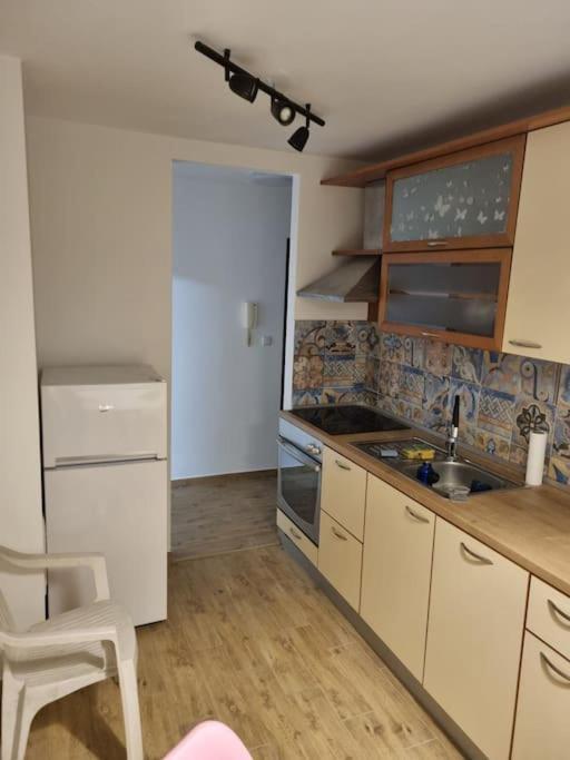 Studio Apartman Bojana 34M2,Free Wifi,Parking Sisak Luaran gambar
