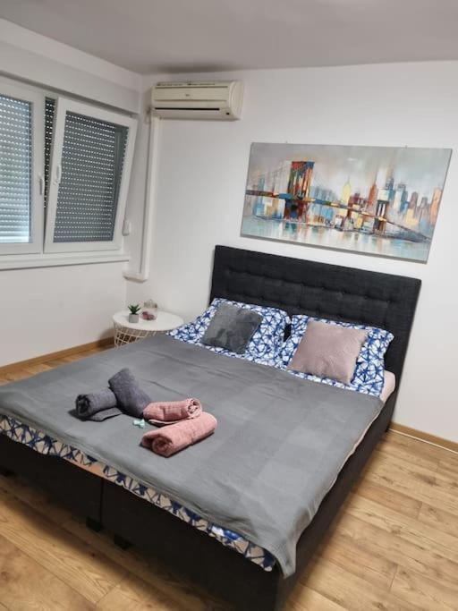 Studio Apartman Bojana 34M2,Free Wifi,Parking Sisak Luaran gambar