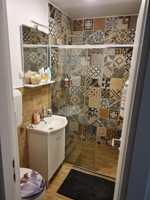 Studio Apartman Bojana 34M2,Free Wifi,Parking Sisak Luaran gambar