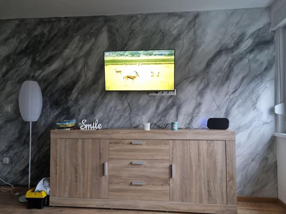 Studio Apartman Bojana 34M2,Free Wifi,Parking Sisak Luaran gambar