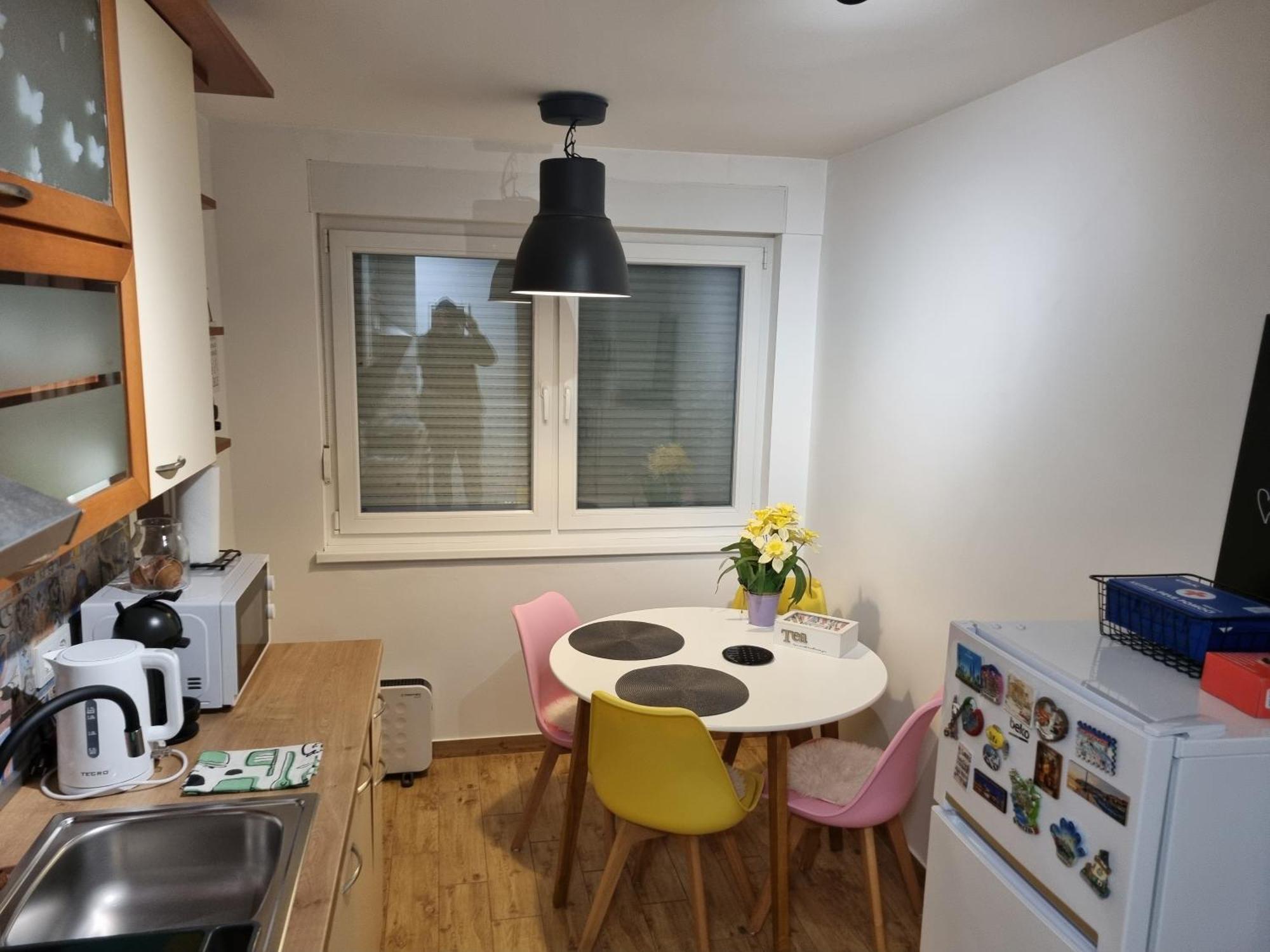 Studio Apartman Bojana 34M2,Free Wifi,Parking Sisak Luaran gambar